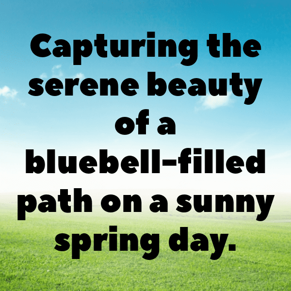 Bluebell Captions Image For Instagram-fwUEXp
