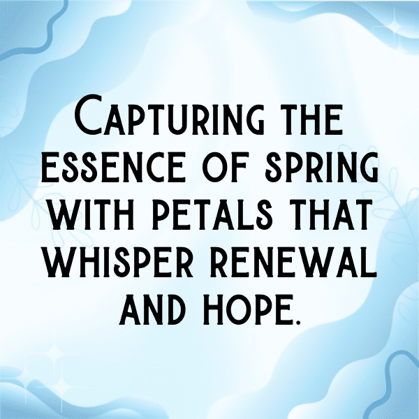 Bluebell Captions Image For Instagram-h2uSTl