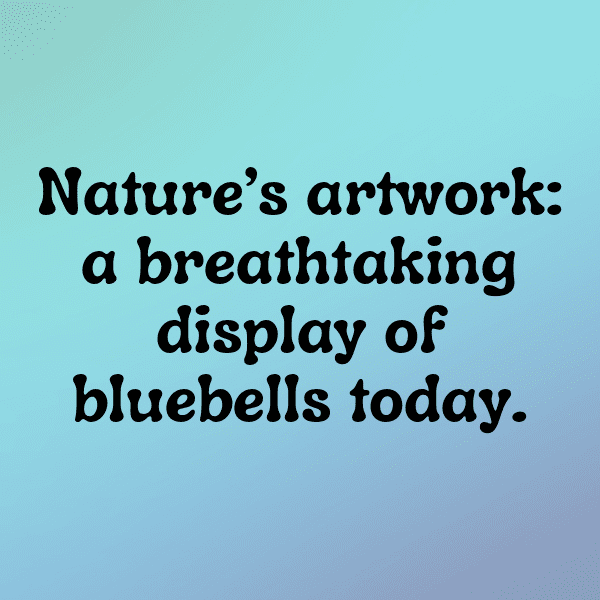 Bluebell Captions Image For Instagram-vLWg9Y