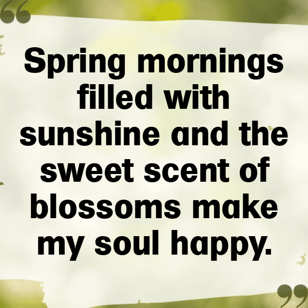 Bluebell Captions Image For Instagram-w2jxVK