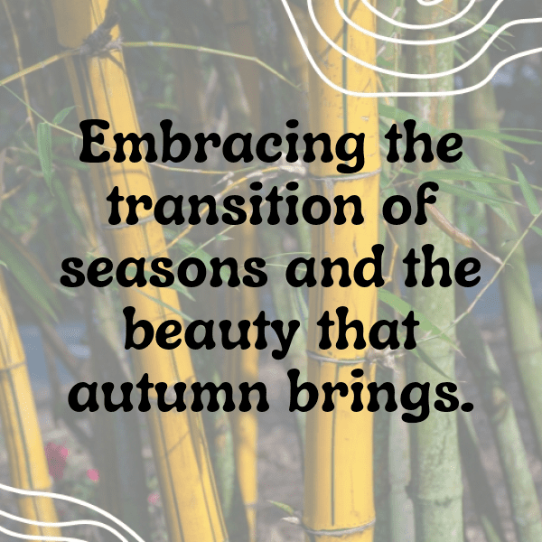 Bluebell Captions Photo For Instagram-czHGng