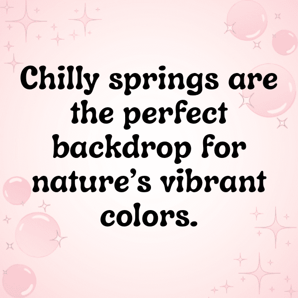 Bluebell Captions Photo For Instagram-s3p898