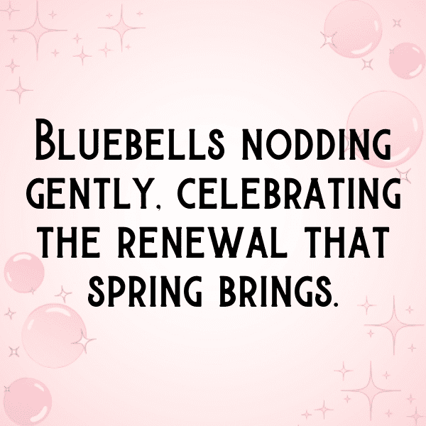 Bluebell Captions Photo For Instagram-U8oL6n