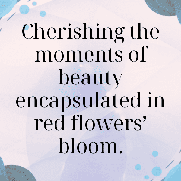 Bluebell Captions Photo For Instagram-wLgU0V