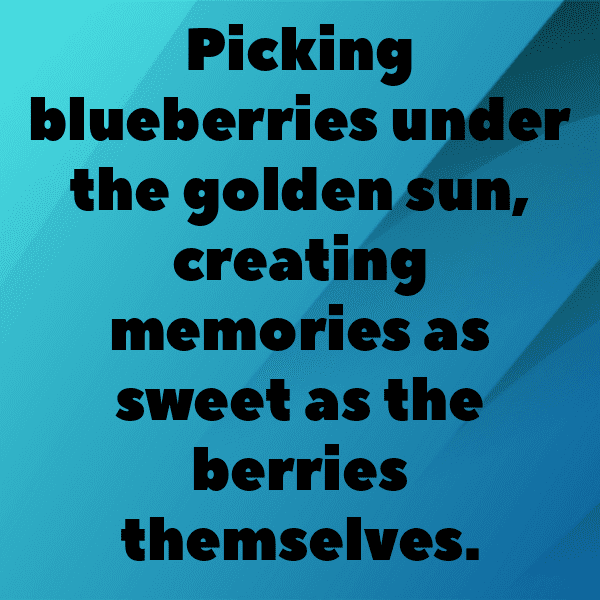 Blueberry Captions Image For Instagram-FPpO5j