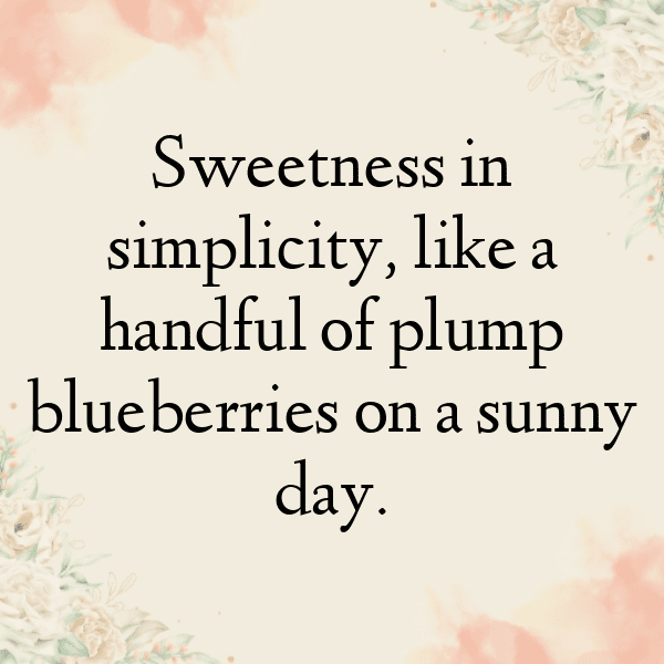 Blueberry Captions Photo For Instagram-ngfrF2