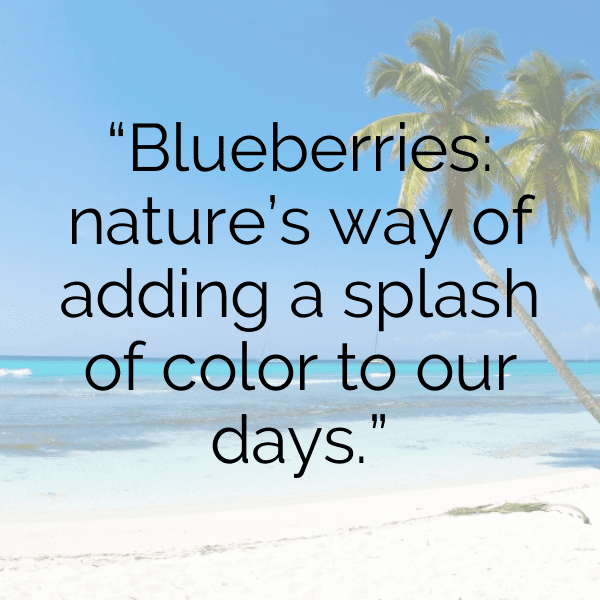 Blueberry Captions Photo For Instagram-T5WhFA