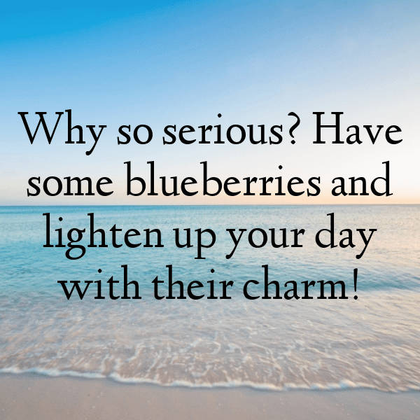 Blueberry Captions Photo For Instagram-VXkj5X