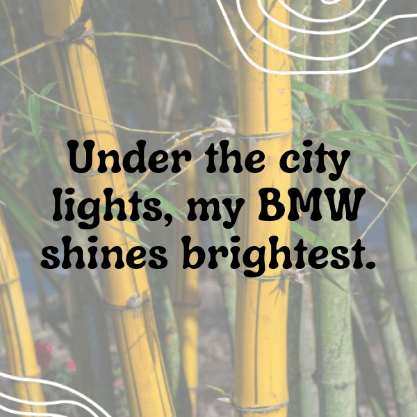 BMW 3 Series Captions Photo for Instagram-P0V9HI