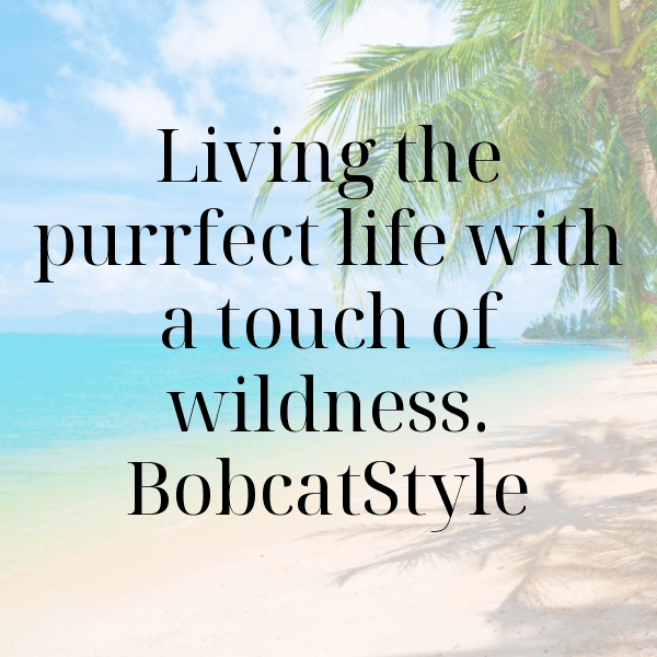 Bobcat Captions Photo For Instagram-bhix2g