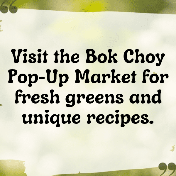 Bok Choy Sprouts Captions Image For Instagram-31Nd6L