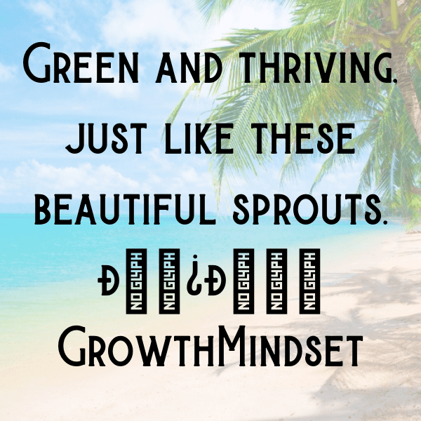 Bok Choy Sprouts Captions Photo For Instagram-heRSs1