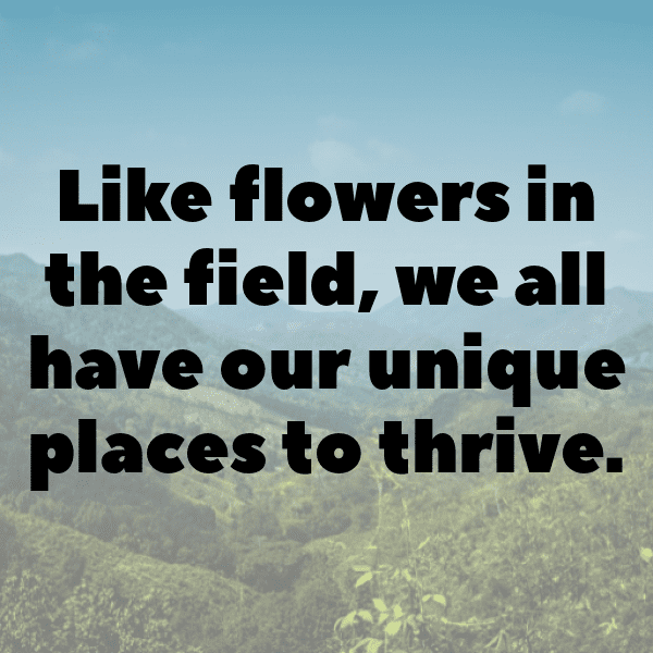 Borage Captions Image For Instagram-d7cq7A