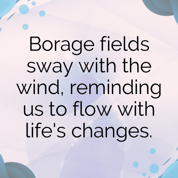 Borage Captions Photo For Instagram-0SsRkC