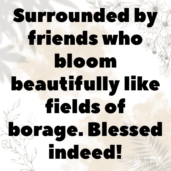 Borage Captions Photo For Instagram-H1jBN9