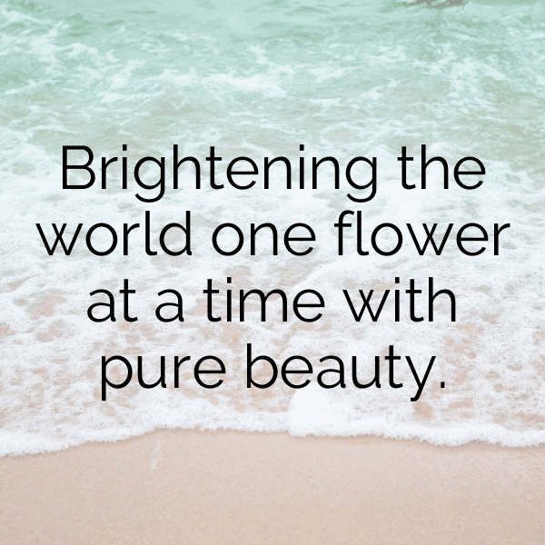 Borage Captions Photo For Instagram-Hi2Iir