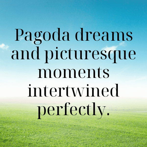 Borage Captions Photo For Instagram-M5LSby