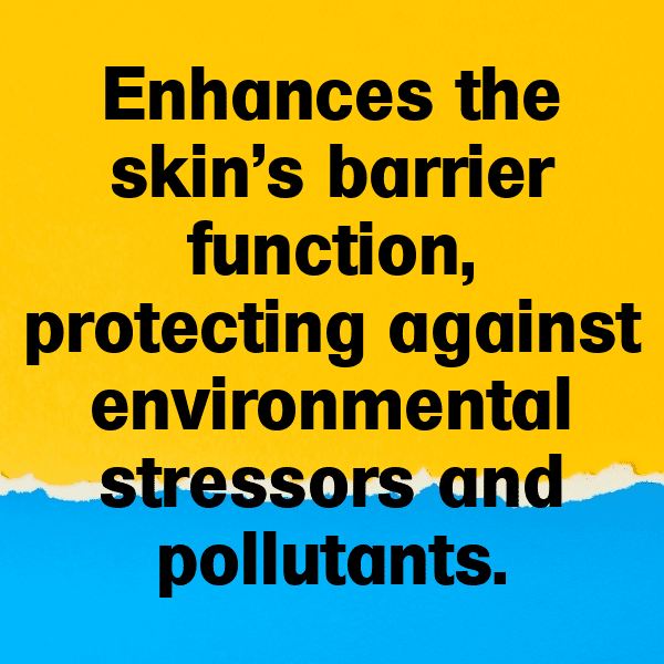 Borage Captions Photo For Instagram-mY8ior