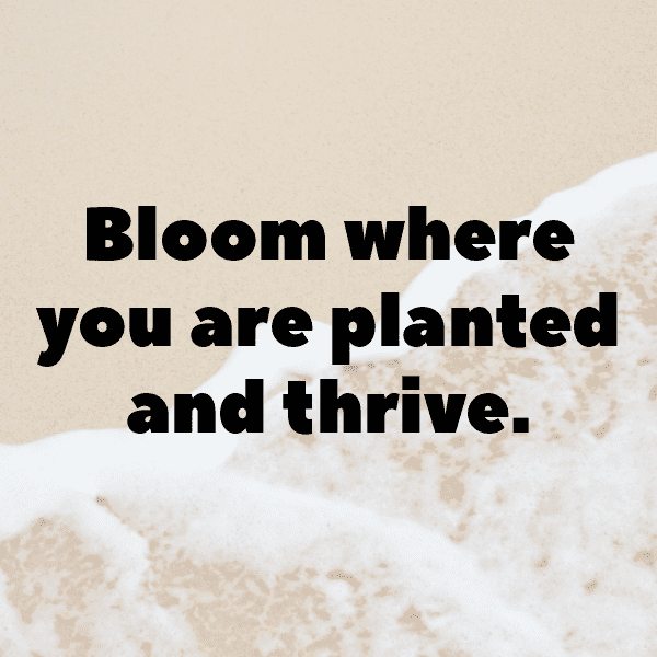 Borage Captions Photo For Instagram-NDTbk1