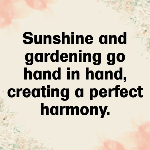 Botanical Garden Captions Image for Instagram-6SBxFo