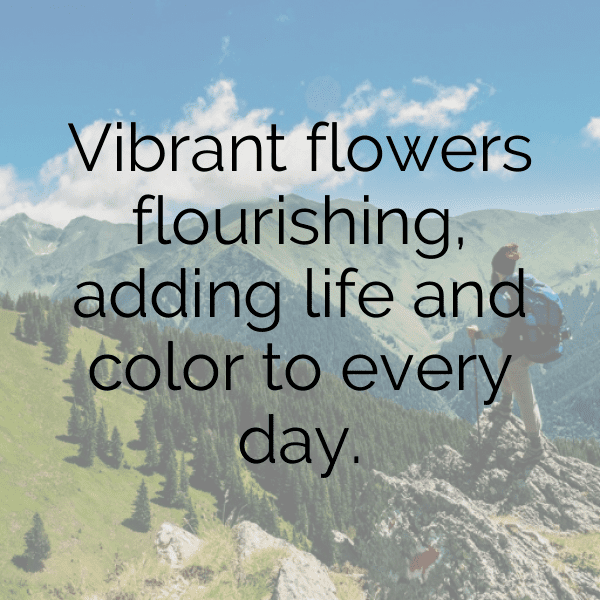 Botanical Garden Captions Image for Instagram-duxBaX