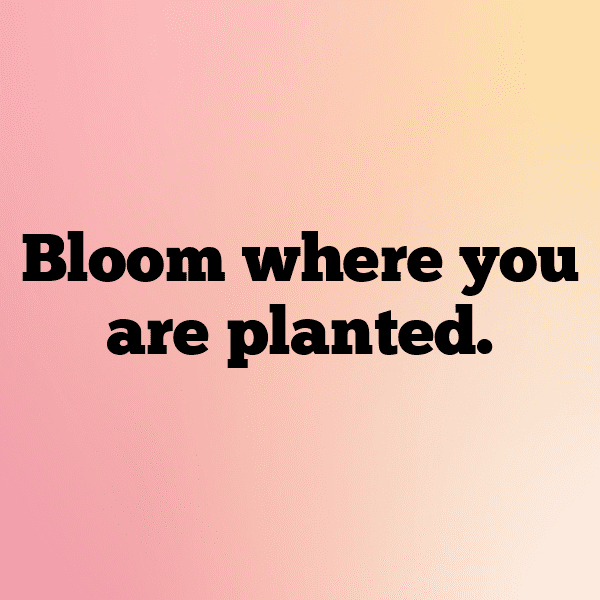 Botanical Garden Captions Image for Instagram-Pga9Uz