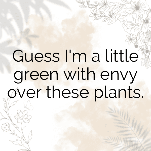 Botanical Garden Captions Photo for Instagram-JZG2QQ