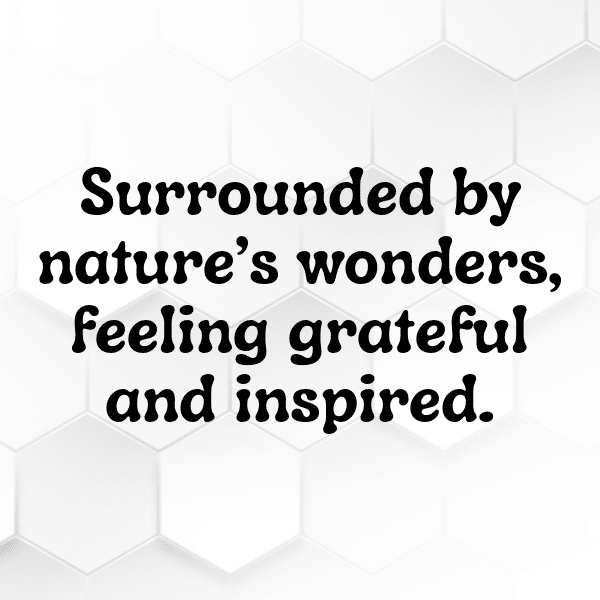 Botanical Garden Captions Photo for Instagram-xeshQm