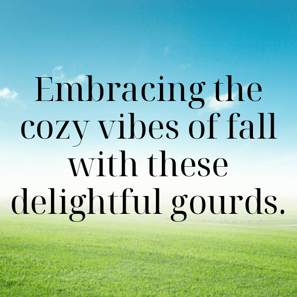 Bottle Gourd Captions Image For Instagram-ZmppV8