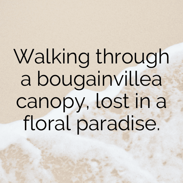 Bougainvillea Captions Image For Instagram-4ZKMIx