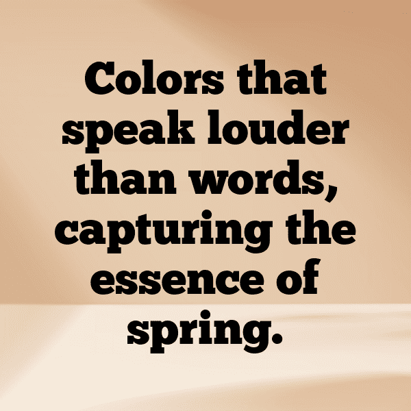 Bougainvillea Captions Image For Instagram-r2SWEW