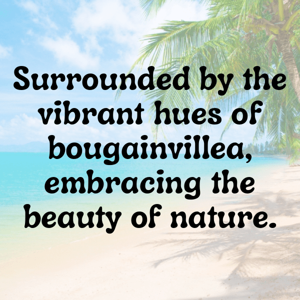Bougainvillea Captions Photo For Instagram-J0l9T3