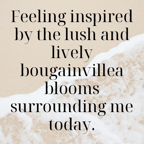 Bougainvillea Captions Photo For Instagram-zTvLxr