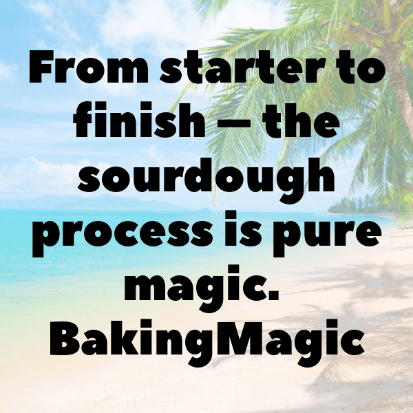 Breadfruit Captions Photo For Instagram-oPNM1X