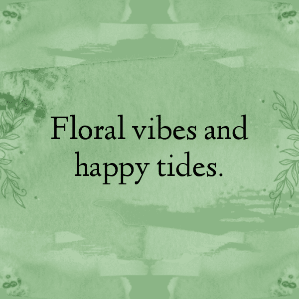 Broadleaf Arrowhead Captions Image For Instagram-HOa7zs