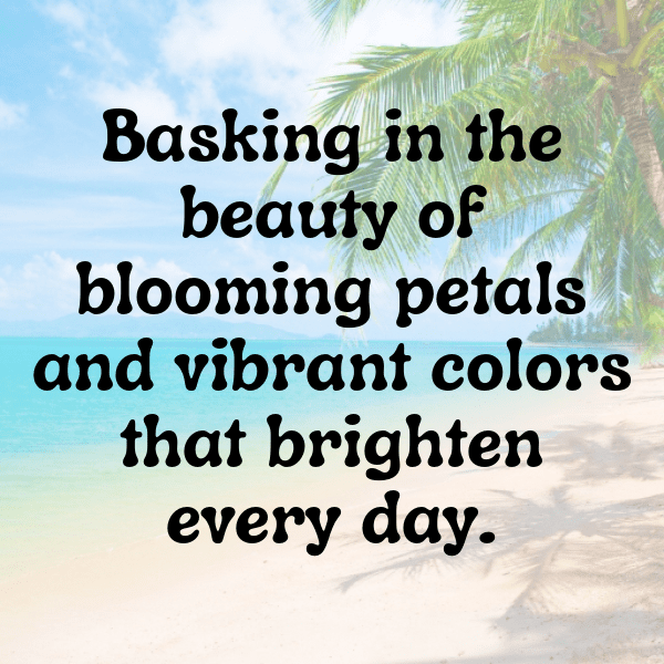 Broadleaf Arrowhead Captions Photo For Instagram-hI6zQQ