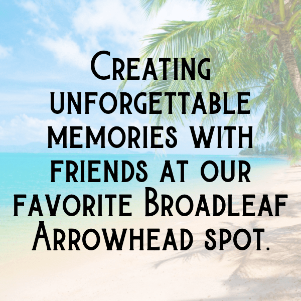 Broadleaf Arrowhead Captions Photo For Instagram-ZXtRZ9