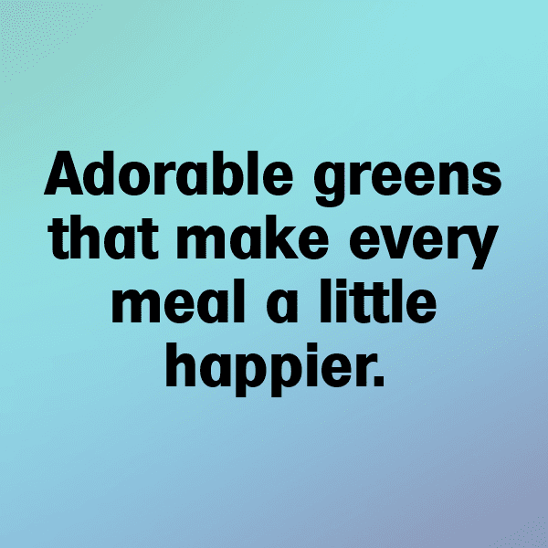 Broccoli Captions Photo For Instagram-PAps5B