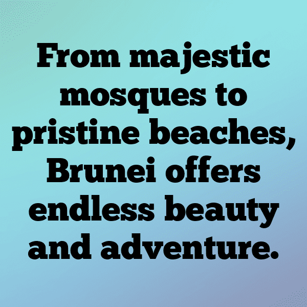 Brunei Captions Photo For Instagram-NXOXQP