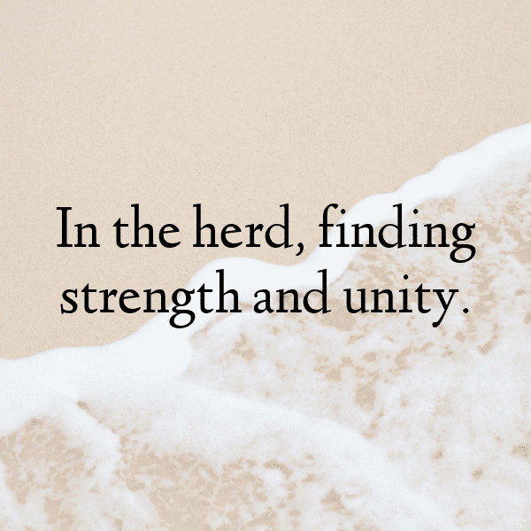 Buffalo Captions Image For Instagram-3f8P9l