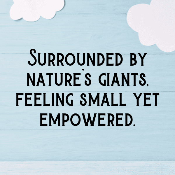 Buffalo Captions Image For Instagram-4ggIoT