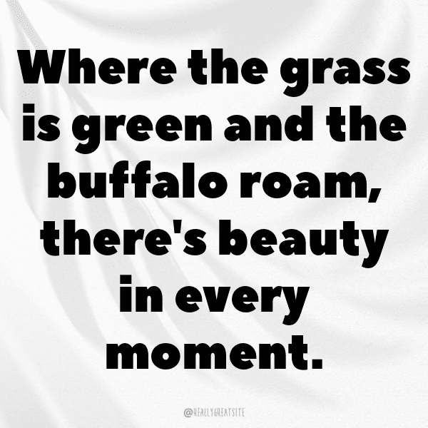 Buffalo Captions Photo For Instagram-8VcDKz