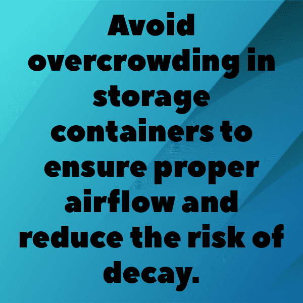 Butter Lettuce Captions Image For Instagram-U4W4Sz