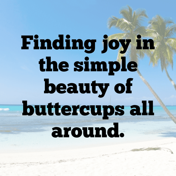 Buttercup Captions Image For Instagram-746Sn2