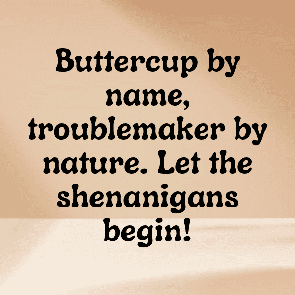 Buttercup Captions Image For Instagram-qw7xoG