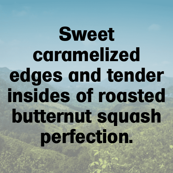 Butternut Squash Captions Image For Instagram-TriKwe