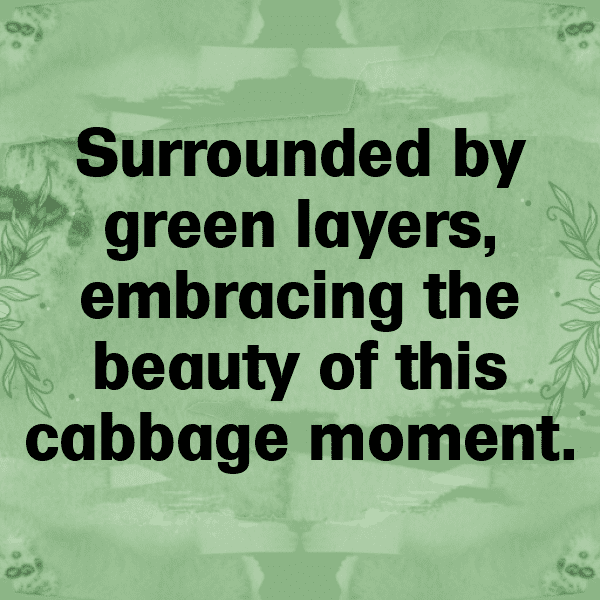 Cabbage Captions Image For Instagram-hYYj2x