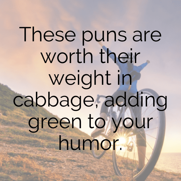 Cabbage Captions Image For Instagram-MG4Dho