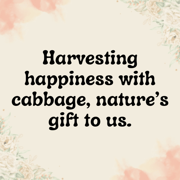 Cabbage Captions Image For Instagram-mwtvxo