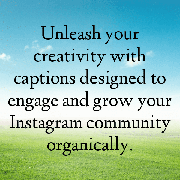 Cabbage Captions Photo For Instagram-ydWBKx